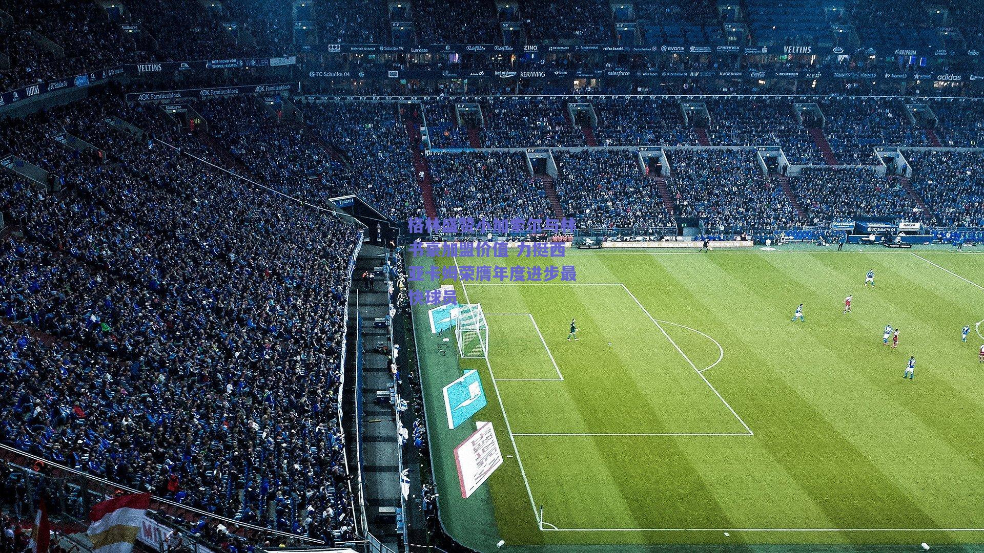 格林盛赞小加索尔与林书豪加盟价值 力挺西亚卡姆荣膺年度进步最快球员