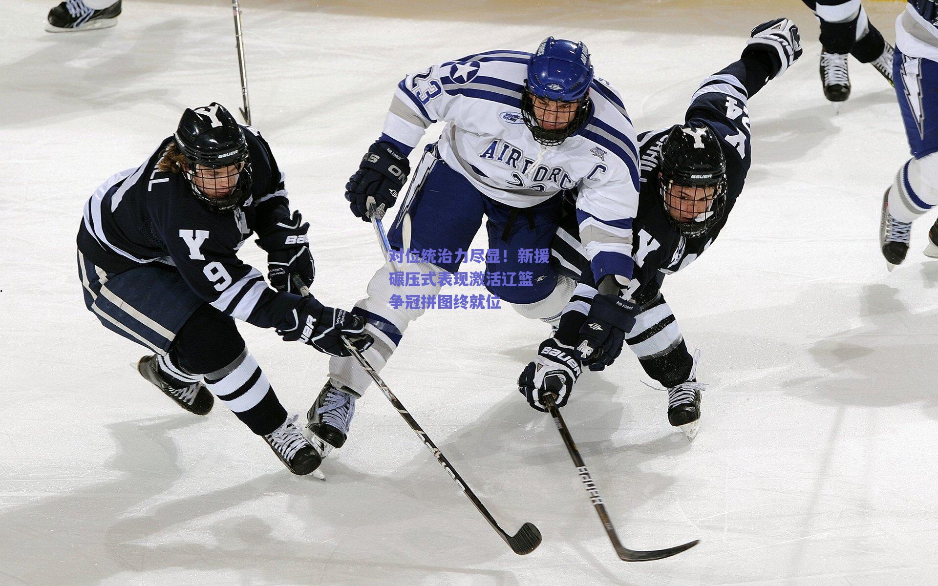 对位统治力尽显！新援碾压式表现激活辽篮 争冠拼图终就位